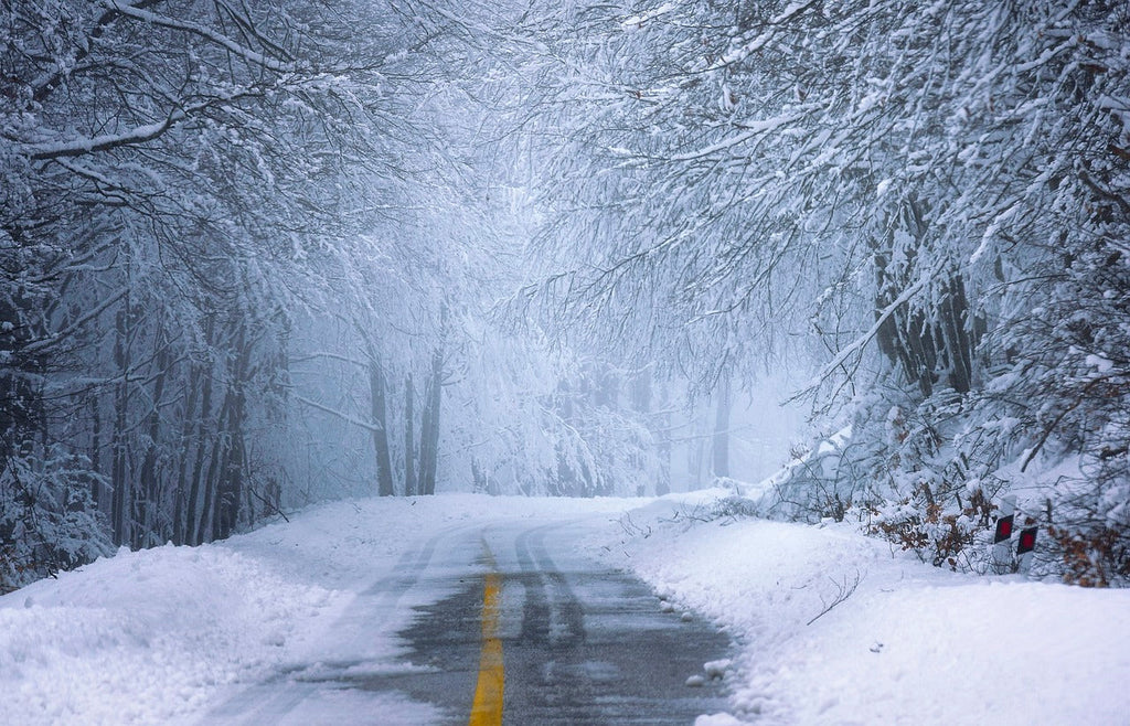 Notre Avis - TESLA Propulsion sur neige et autres routes glissantes.